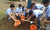 Environment Day