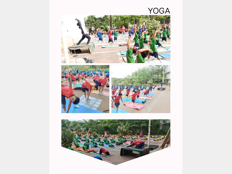 YOGA DAY