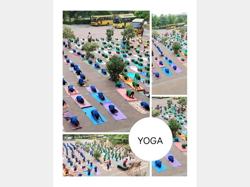 YOGA DAY